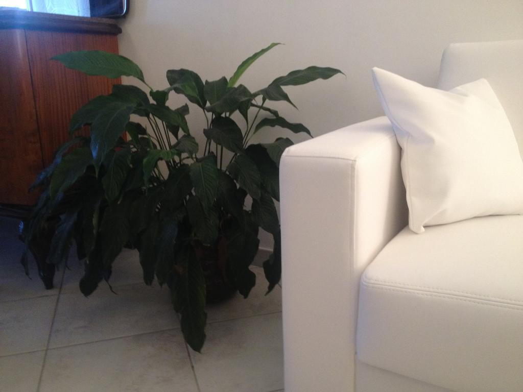 Via Roma Suite Ortona Eksteriør billede